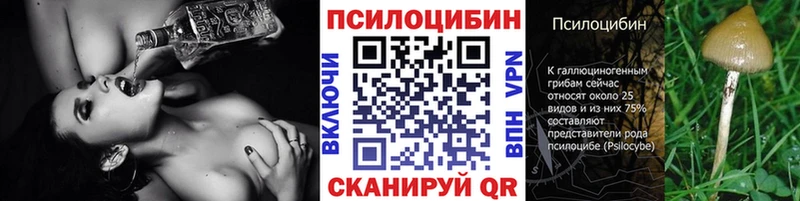 Галлюциногенные грибы Magic Shrooms  хочу   Соль-Илецк 