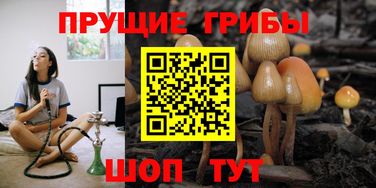 Соль-Илецк  Галлюциногенные грибы ЛСД  Вход с VPN 